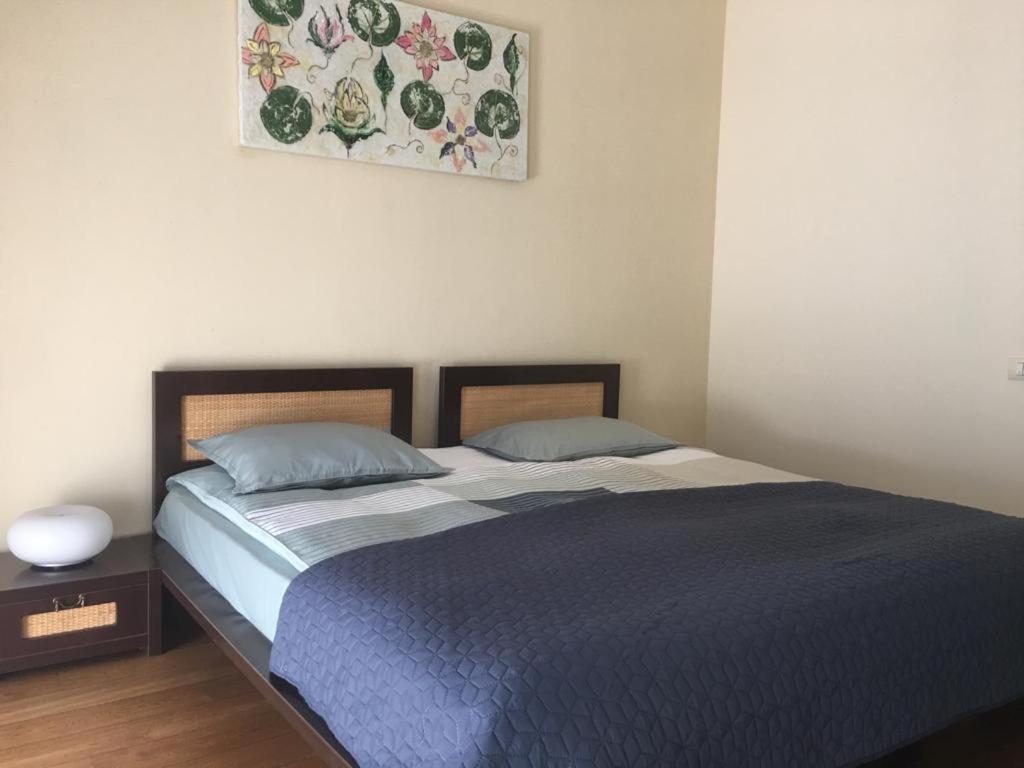 Pensiunea Aquavilla Maliuc Buitenkant foto