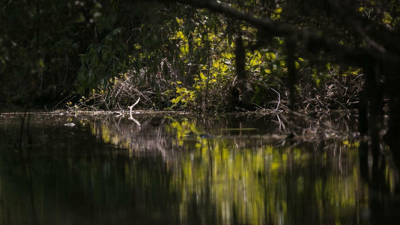Pensiunea Aquavilla Maliuc Buitenkant foto